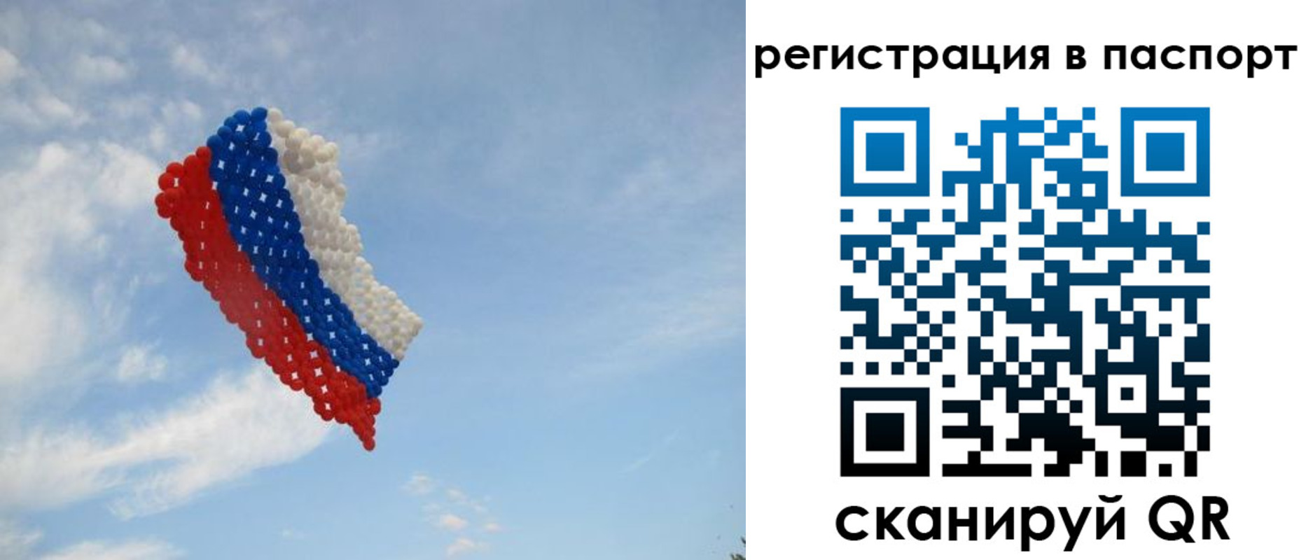 прописка для школы в Королёве